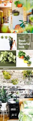 7 olive wally eco wall planter ideas