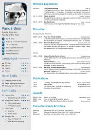 As a candidate, you are a unique individual with the skills and experience to get the job done. Pin On Cv Template