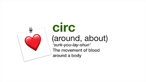 word roots 13 circ you
