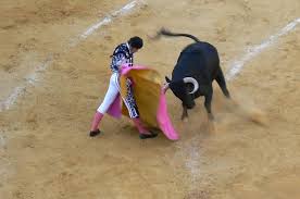 #OpiniónAP | ¿Los toros no son cultura?, por Pascual Rosser Limiñana  (@PascualRosser) - Alicanteplaza