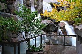 waterfall garden park seattle viator