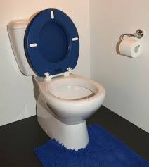 Royal Blue Padded Toilet Seat Cush N Soft