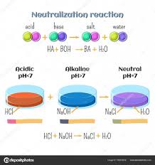 Acid Base Neutralization Reaction Of Hydrochloric Acid And