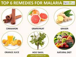 Malaria Is A Deadly Widespread Disease That Threatens