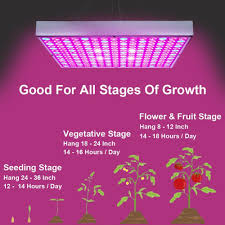 Led Grow Plant Lights For Indoor Plants 45w Viral Gads