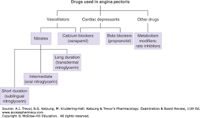 Drugs Used In The Treatment Of Angina Pectoris Katzung