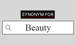 beauty synonyms best synonyms for beauty