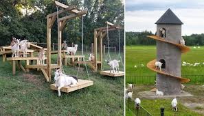 toys for goats to keep them busy home