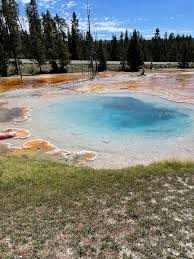 lower loop of yellowstone guided tour