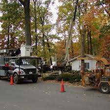 You need a cleaning company that you can rely on to show up on time, get the job done at affordable price, right? Tyson S Tree Service 13 Reviews Tree Services 2931 Mayberry St Falls Church Va United States Phone Number