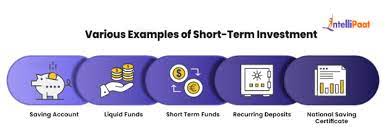 what is short term investment bpi