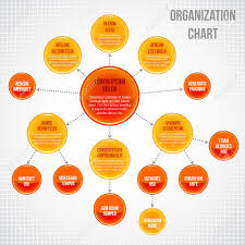 Organizational Chart Infographic Business Bubbles Circle Work