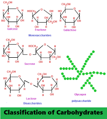 Classification Of Carbohydrates Online Notes On Microbiology