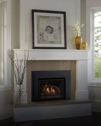 Gas And Wood Fireplace Design And