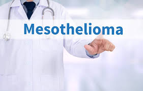 Education, motivation, business, technology related articles and images etc. Mesothelioma Compensation Mesotheliomahelp Org