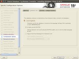 Oracle database 11g release 2 launched september 2009 and its marquee features were edition based redefinition, data redaction, hybrid columnar compression, cluster file system, golden gate replication and database appliance. Installing Oracle On Ubuntu Complete Waltkhrough