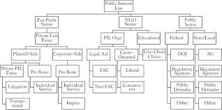 Organizational Chart Of The Public Interest Law Industry