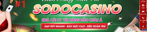 Những nhà cái cá độ uy tín hàng đầu thị trường Việt Nam 