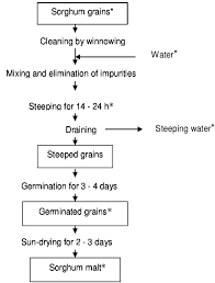 General Flow Diagram Of Traditional Malting Of Sorghum