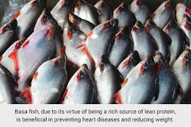is basa fish healthy ehealth