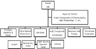 Example High Level Organizational Structure For Niacsa