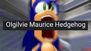sonic s real name you