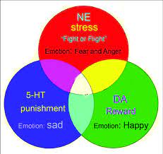 monoamine model of basic emotions the