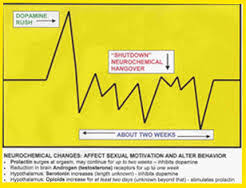 Postcoital Neurochemistry The Blues And The Highs Emotion