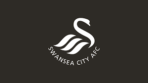 Swansea city association football club is a welsh professional football club based in swansea, wales that plays in the championship, the second tier of english football. On This Day Swansea City Is Formed Swansea