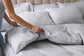 How To Clean Pinworms From Pillows Hunker