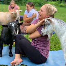 goat yoga near saratoga springs ny