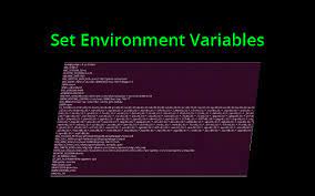 how to set environment variables in linux