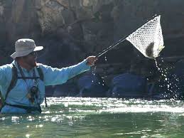 It has multiple sections that offer easy access, as well as many areas that are more remote for. Top 5 New Mexico Fishing Spots Lakes Rivers Streams New Mexico True