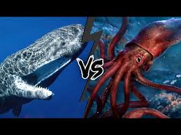 whale vs giant squid who would