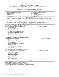 Insurance Claims Investigator Cover Letter Goprocessing Club