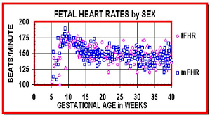 Heart Rate Gender Prediction The Gender Experts
