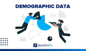 demographic data what it is how to