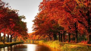 Autumn For Laptop Wallpapers ...