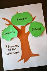 The three branches of government essay Best     Branches of government ideas on Pinterest     branches    branches  of government and Government branches