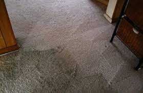 family man carpet cleaning aliso