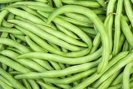 growing fresh runner and dwarf beans in