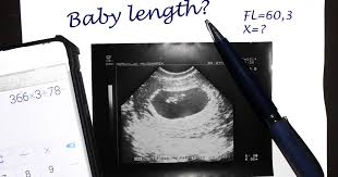 Fetal Length Calculator The Childrens Happiness Guide