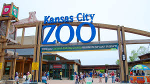 kansas city zoo in kansas city tours