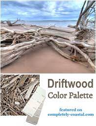 Coastal Color Ideas Timeless Paint