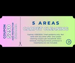 hernandez carpet cleaning