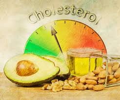Image result for pics in regard to cholesterol