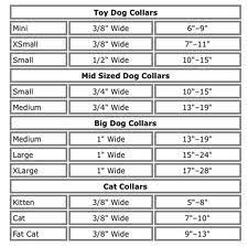 Dog And Cat Collar Sizing Chart Google Search Dog