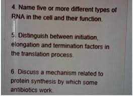 translation process 6 discuss a mechanism
