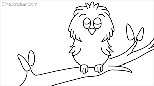 how to draw cartoon kiwi bird step by