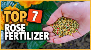best rose fertilizers in 2022 top 7
